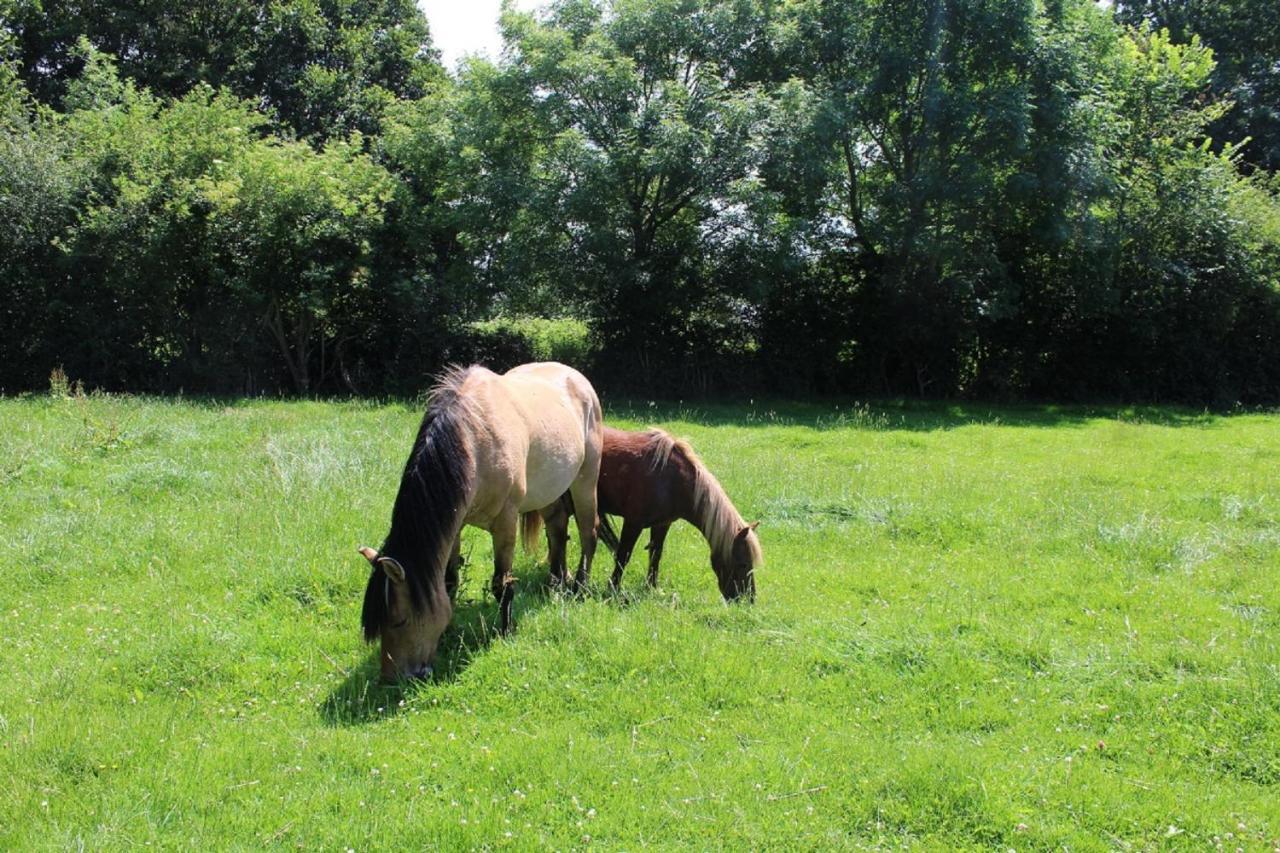 Saint-Quentin-Lamotte-Croix-au-Bailly La Ferme De La Croixヴィラ エクステリア 写真