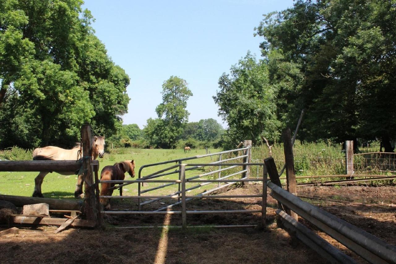 Saint-Quentin-Lamotte-Croix-au-Bailly La Ferme De La Croixヴィラ エクステリア 写真