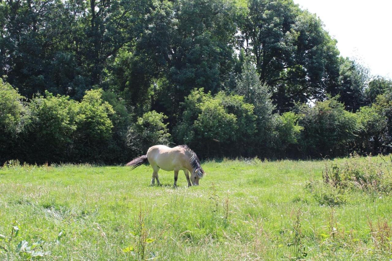 Saint-Quentin-Lamotte-Croix-au-Bailly La Ferme De La Croixヴィラ エクステリア 写真